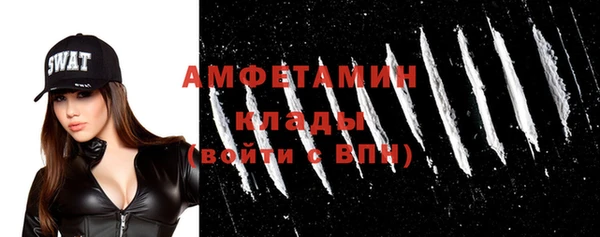 стаф Алзамай