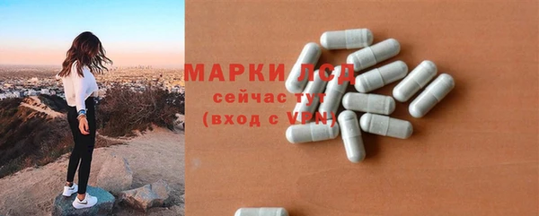стаф Алзамай
