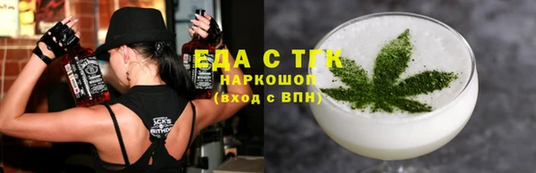 стаф Алзамай