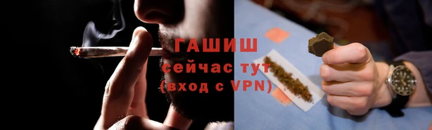 стаф Алзамай