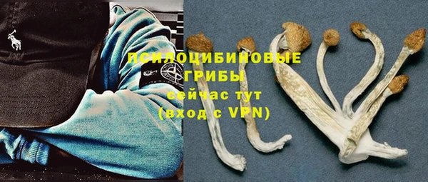ECSTASY Алексин