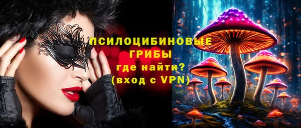 метадон Пестово