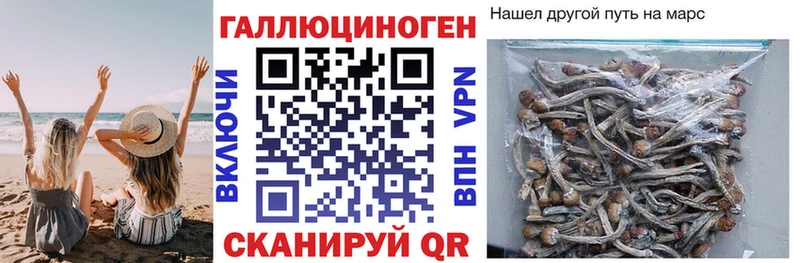 Псилоцибиновые грибы GOLDEN TEACHER Суджа